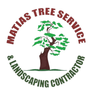 Matias tree service and landscape contractor Logo