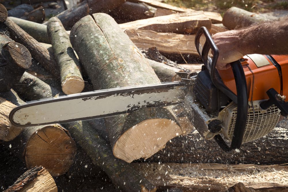 Chainsaw cutting a log during tree cutting service in Sacramento, CA