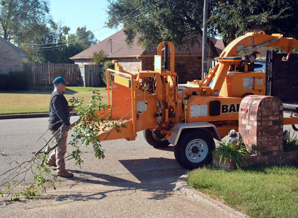 Tree service crew feeding branches into a wood chipper in Sacramento, CA